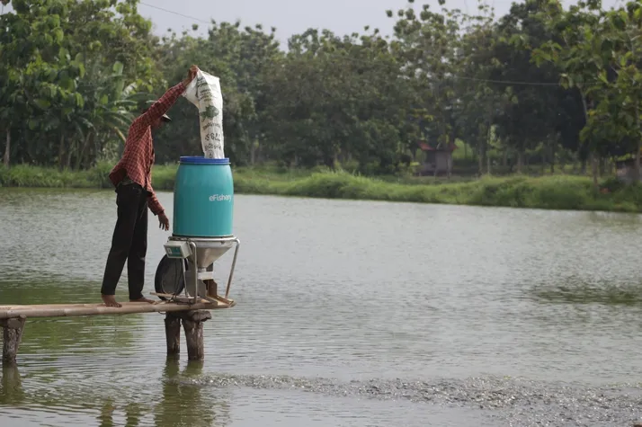eFishery's shrimp feeder