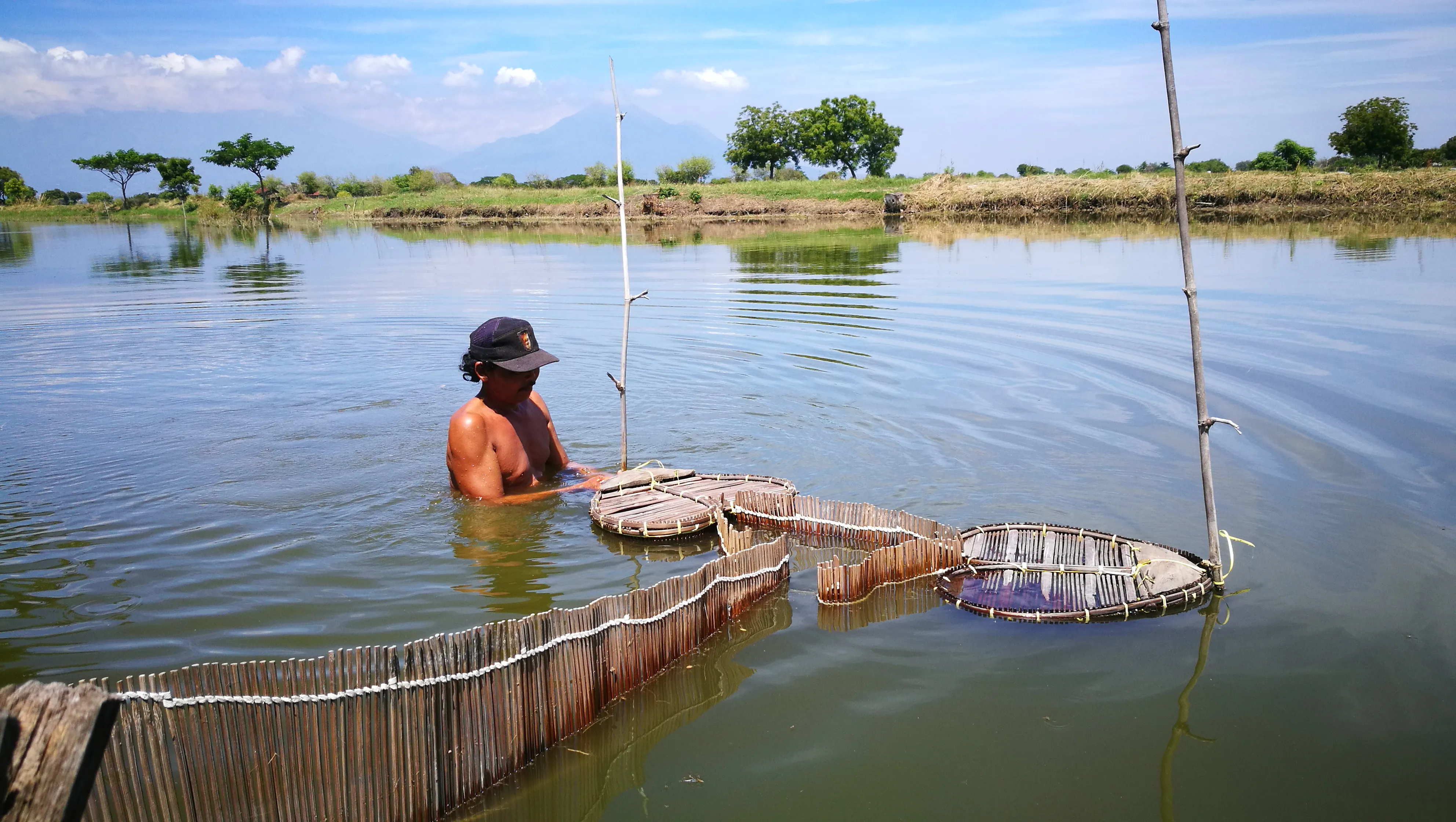 Extensive shrimp farming in Indonesia