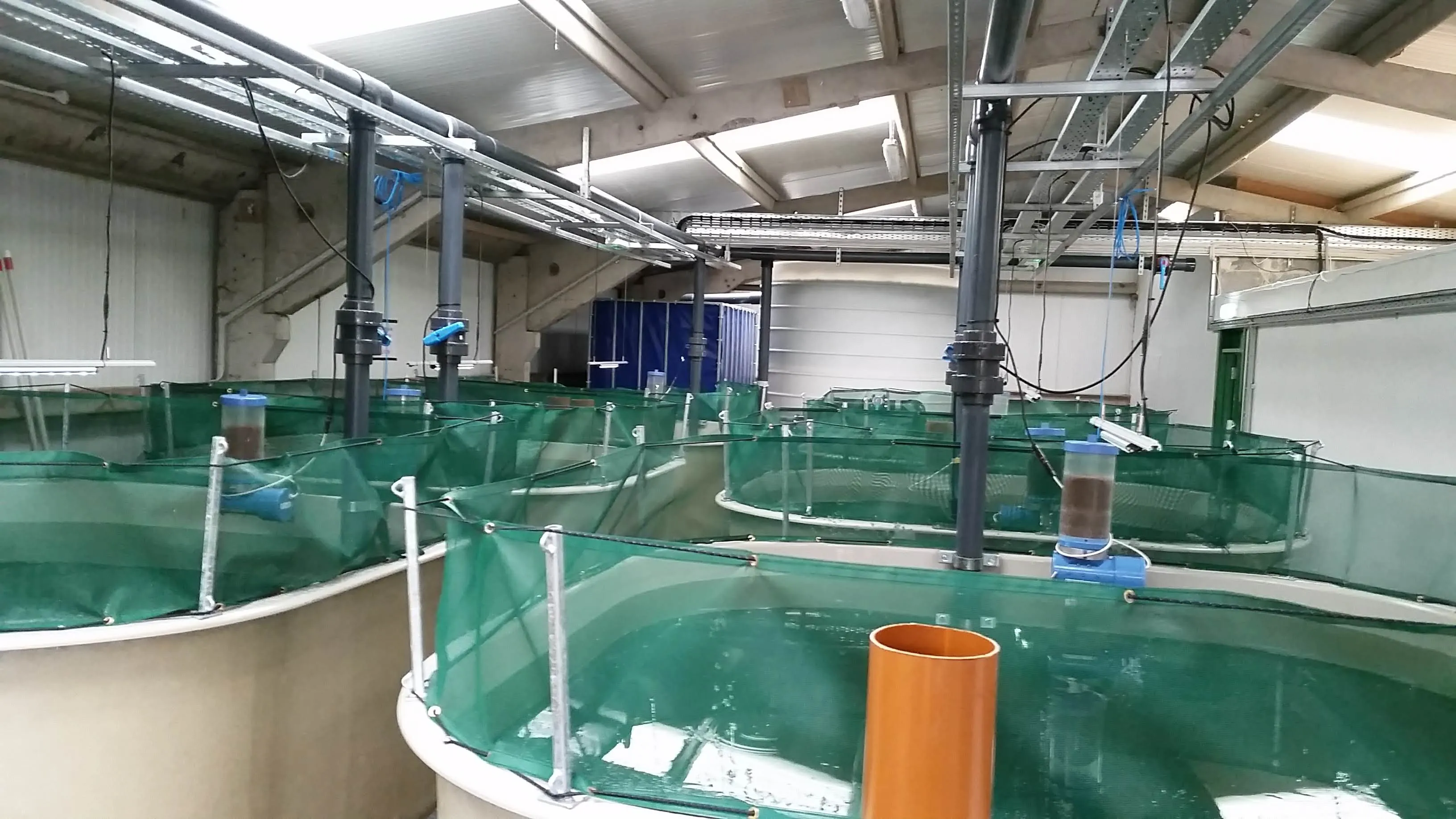 Indoor RAS tanks in Ireland
