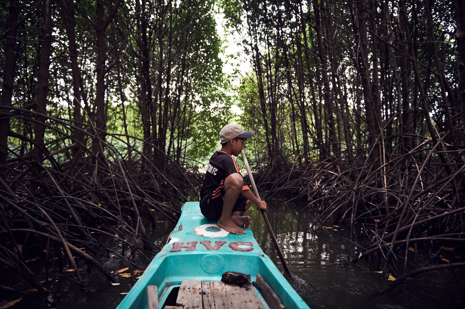 A boy sitting on a boat moving through mangroves