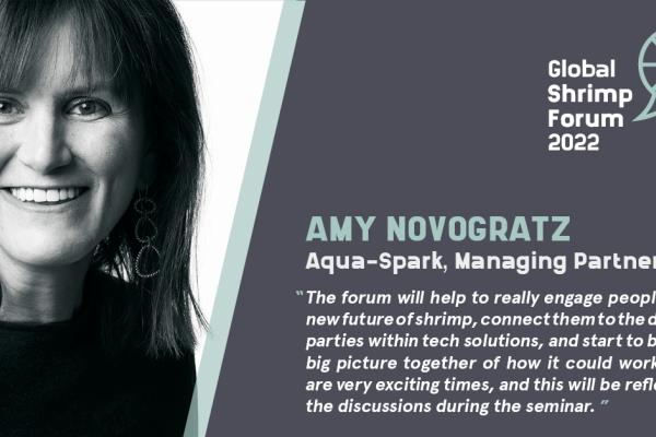Amy Novogratz will chair the Innovation and Technology seminar