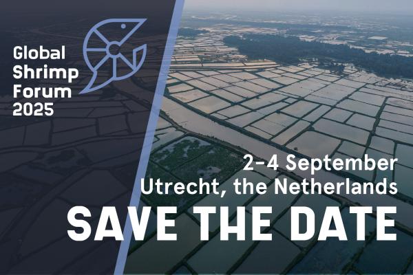 Save the Date 2025 for the website