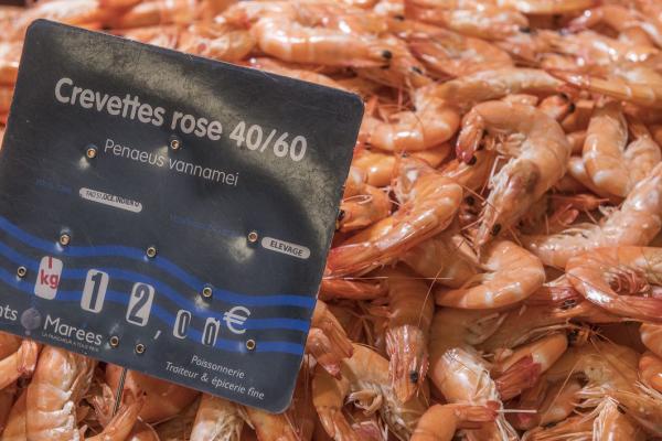 Shrimp in a French supermarket