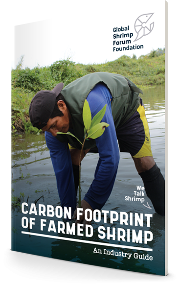 Carbon Guide cover mockup