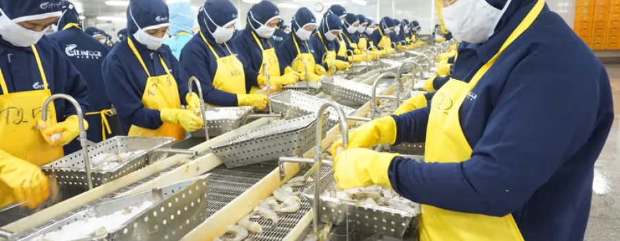 Shrimp processing plant in Vietnam