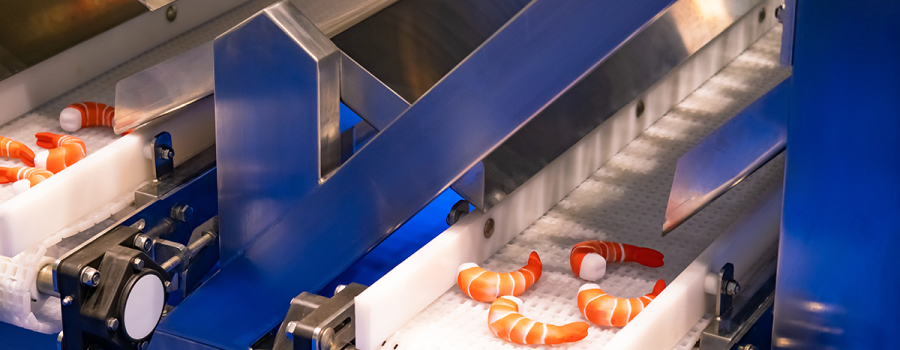 A conveyor in a shrimp processing plant
