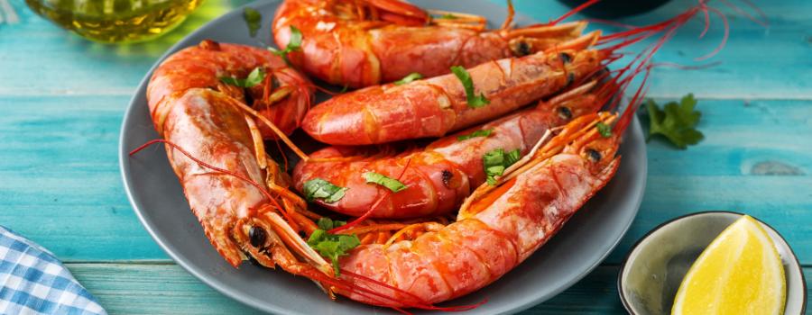 Argentine Red Shrimp