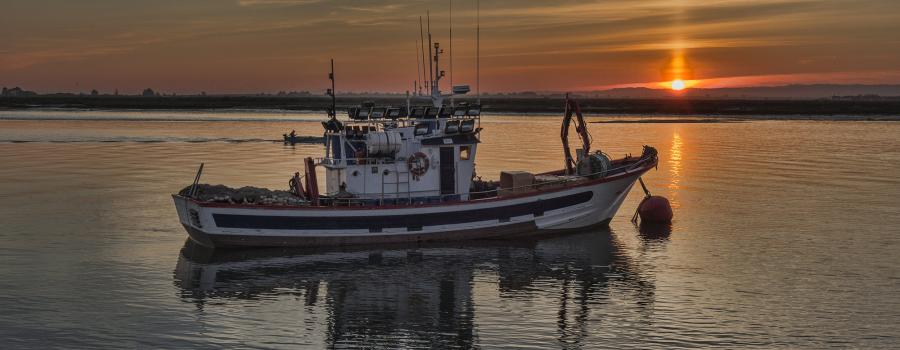 A fishing boat in open waters