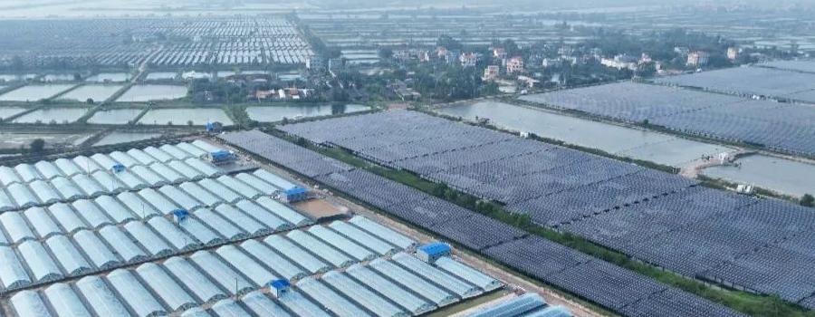 Small greenhouses in Guangxi, China