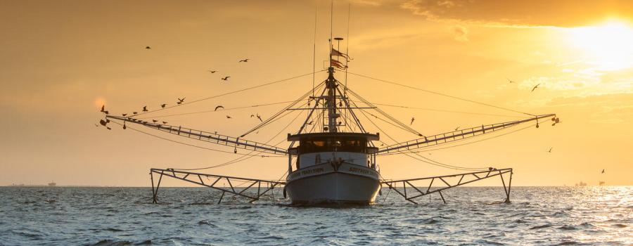 Shrimp Boat on Mobile Bay (Billy Pope)