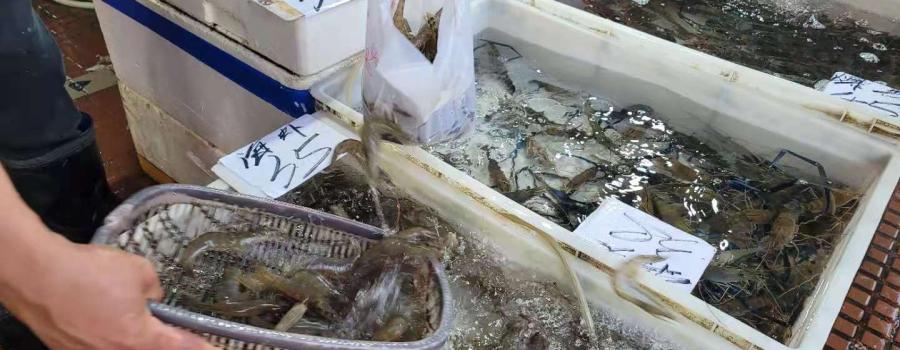 Chinese seafood market