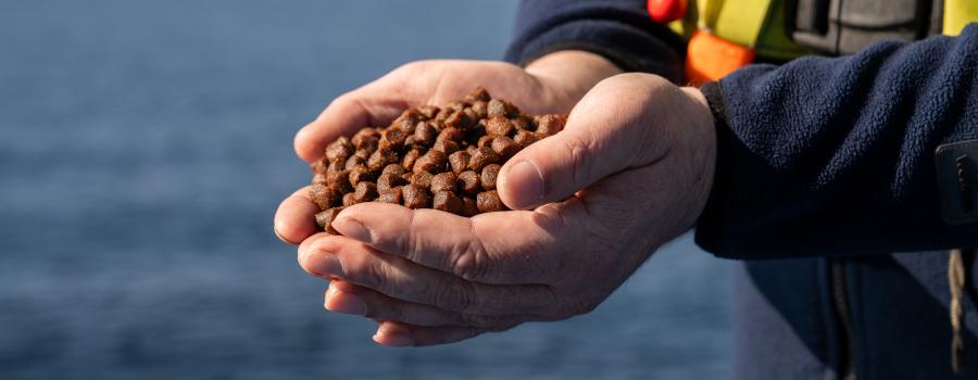 The Future of Responsible Marine Ingredients