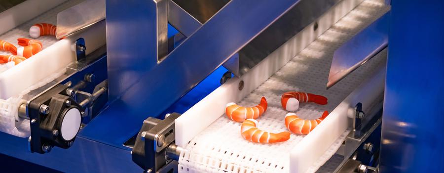 Shrimp processing conveyor belt