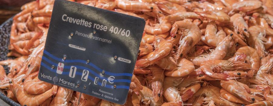 Shrimp in a French supermarket