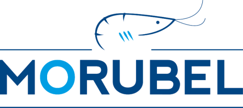 Logo of Morubel