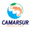 Camarsur