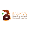 Bankiva