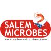 Salem Microbes