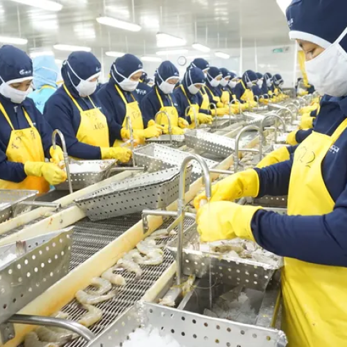 Shrimp processing plant in Vietnam