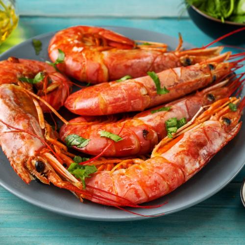 Argentine Red Shrimp