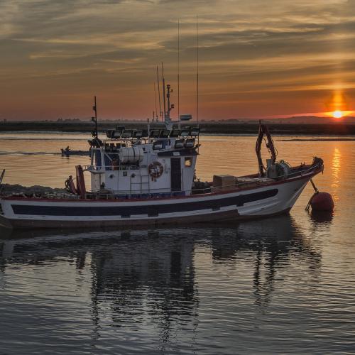 A fishing boat in open waters