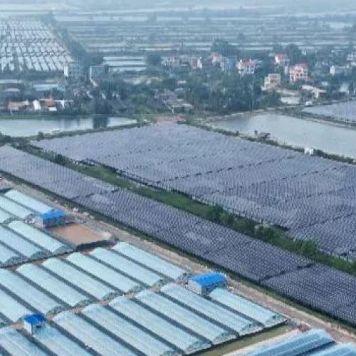 Small greenhouses in Guangxi, China