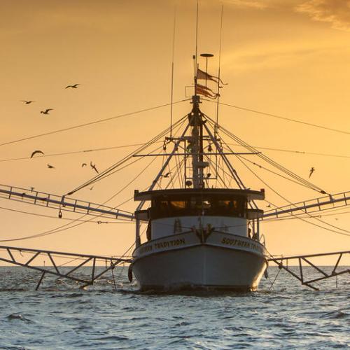 Shrimp Boat on Mobile Bay (Billy Pope)