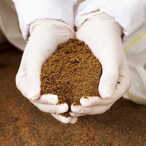 Marine ingredients