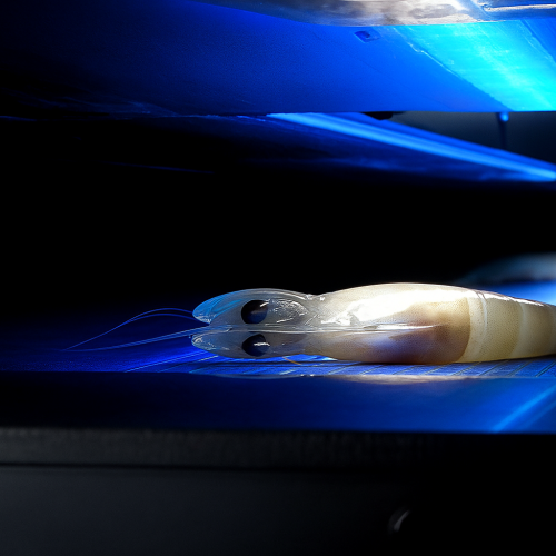 Laitram Machinery's smart solution