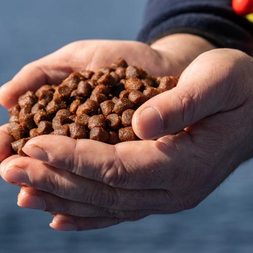 The Future of Responsible Marine Ingredients
