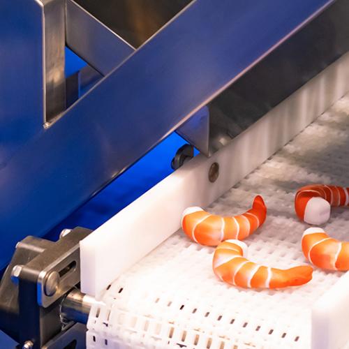 Shrimp processing conveyor belt