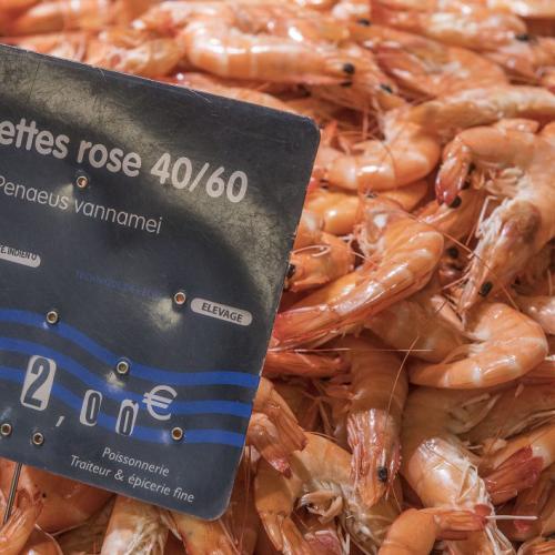 Shrimp in a French supermarket