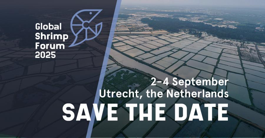 Save the Date 2025 for the website