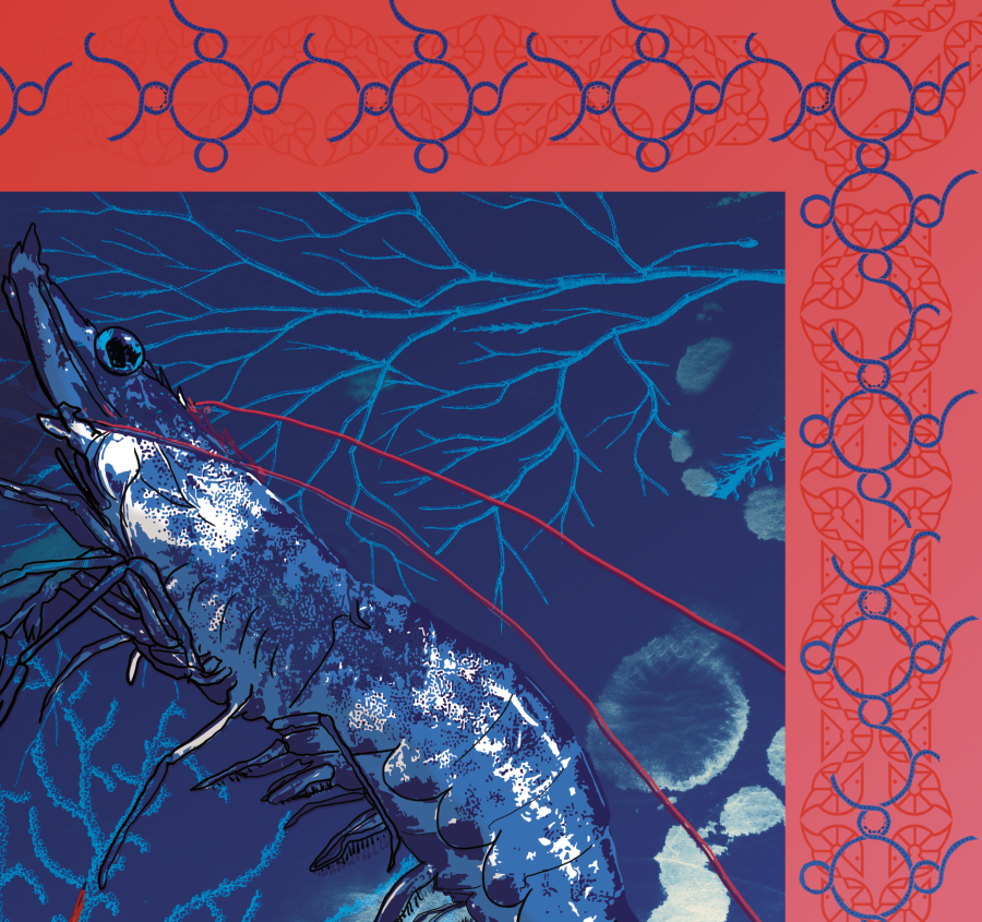 Close-up of the GSF 2025 shawl or pocket square design detail